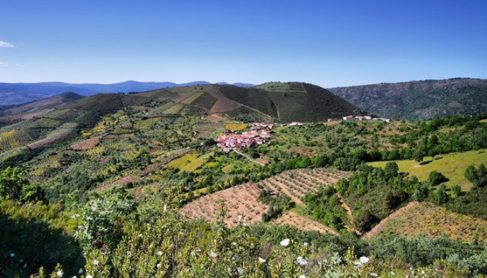 The Spanish Steppes: A Majestic Trek Across Extremadura's Untamed Plains